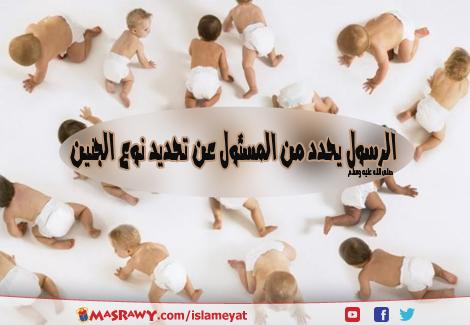 تحديد نوع الجنين من الرجل- تعرفي إن الزوج هو المسئول عن تحديد جنس المولود 20160624 341