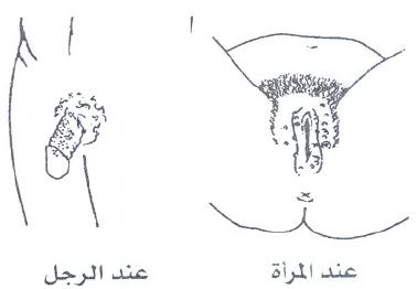 الامراض الجلدية التي تصيب الجهاز التناسلي الذكري