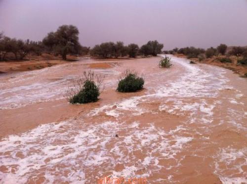 تفسير رؤية السيول في المنام , حلم السيول تفسيره مريب