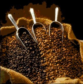 انواع القهوة المختلفة وطرق تحضيرها Coffee Beans1