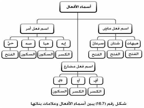 احوال بناء الفعل الماضي - قواعد اللغة العربية من نحو وصرف وشرح مفصل 20160719 1833