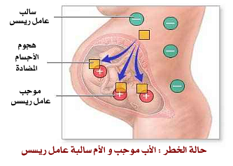 فصيلة الدم O والزواج - تحاليل معينة قبل الزواج للاطمئنان السليم 20160709 42