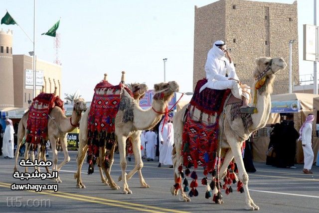 اخبار مهرجان الجنادرية 1436 - اخبار المهرجان بالكامل 20160701 960