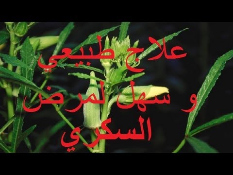 عالجت بيه والدتي طلع مذهل فعلا - العلاج الطبيعي لمرضى السكري 20160626 1740