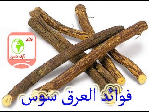 نبات عرق السوس وفوائده - مشروب الجماهير في رمضان عجيب تاثيره 20160623 44