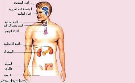 علاج الغدة النخامية بالاعشاب جابر القحطاني