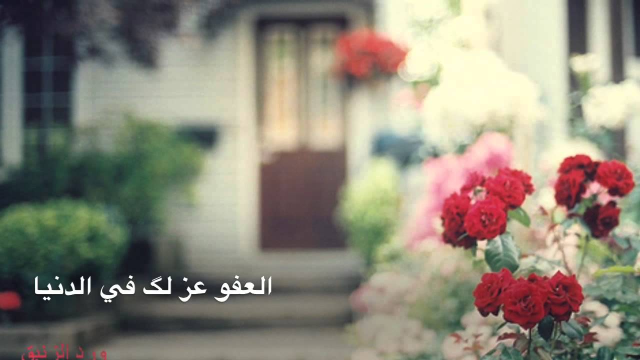 لازم نسامح - فضل وثواب التسامح في الاسلام 20160628 1383