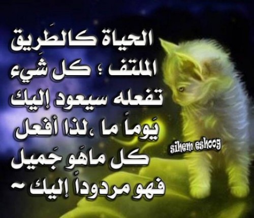 امثال وحكم عربية عن الحياة 20160711 360