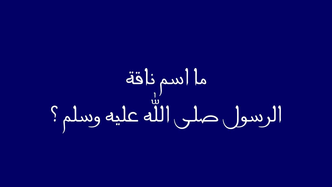 ما اسم ناقة الرسول صلي الله عليه وسلم - وصف شامل وموضح 20160713 1035