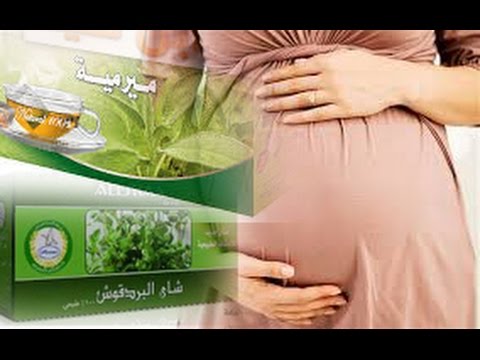 فوائد البردقوش مع الميرمية 20160705 496