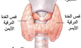 اعراض الغدد الصماء وطرق علاجها- احذر الاصابة بهذا المرض الخطير 20160628 810