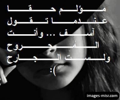 اجمل صور مكتوب عليها شعر 20160710 1713