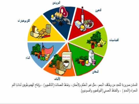 الغذاء الكامل لصحة الجسم - روتين صحى يومي ولا احلى من هيك 20160629 1643