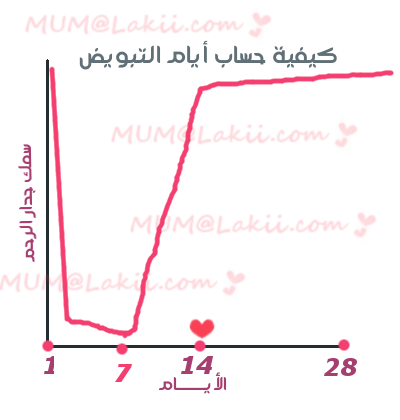 كيفية تفادي الحمل بالحساب 20160627 158