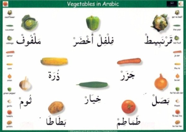 اسماء الخضر بالعربية والفرنسية 20160714 16