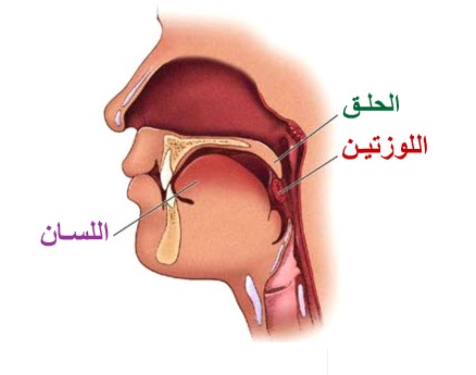 علاج التهاب اللوزتين فعال - علاج احتقان الحنجرة هيجيب معاك من الاخر 20160721 614