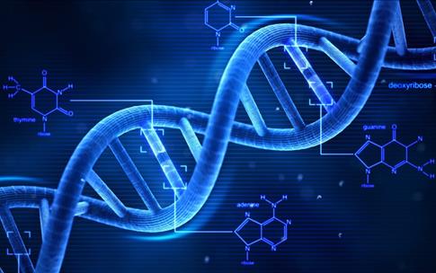 كيف يتم عمل تحليل Dna - تعريف الDna وتوضيح طريقة اختباره 20160630 1628