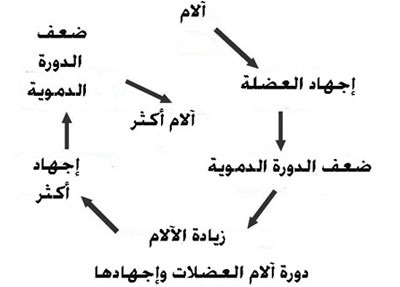 علاج اجهاد العضلات واسبابه - الشد العضلي حله بسيط خالص 20160626 1372