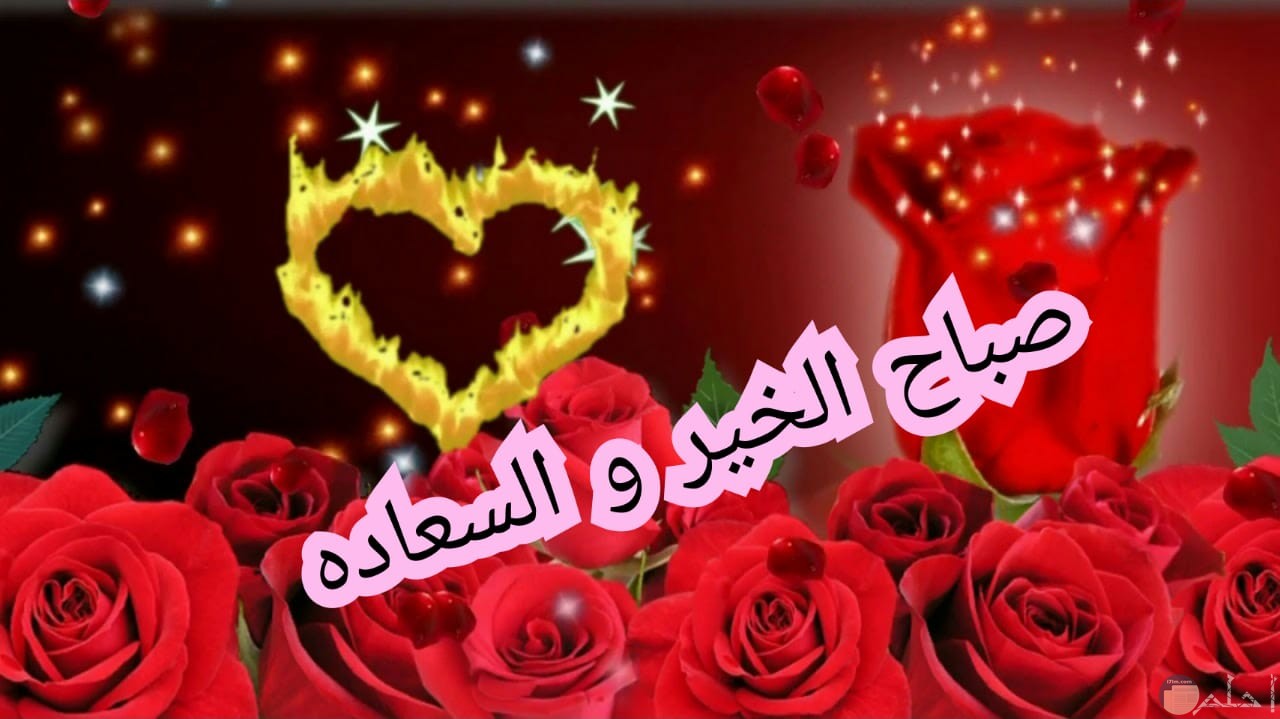 صور صباح الخير صباح الورد ، أجمل عبارات الصباح 289204 6