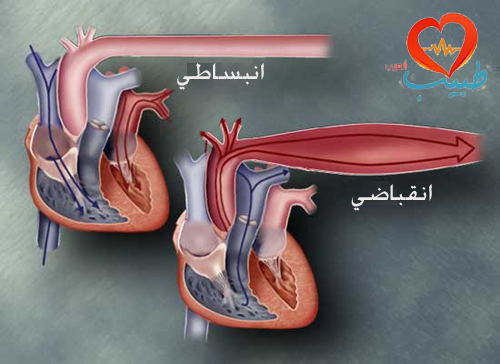 انتظم من بعده - علاج الضغط المرتفع بالماء 20160715 348