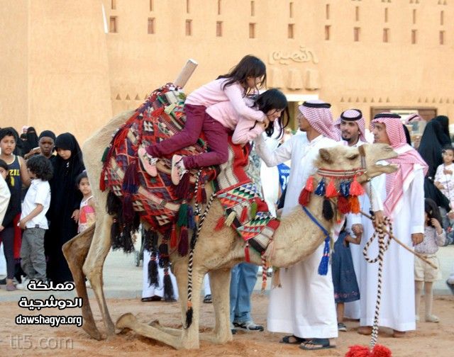 اخبار مهرجان الجنادرية 1436 - اخبار المهرجان بالكامل 20160701 961