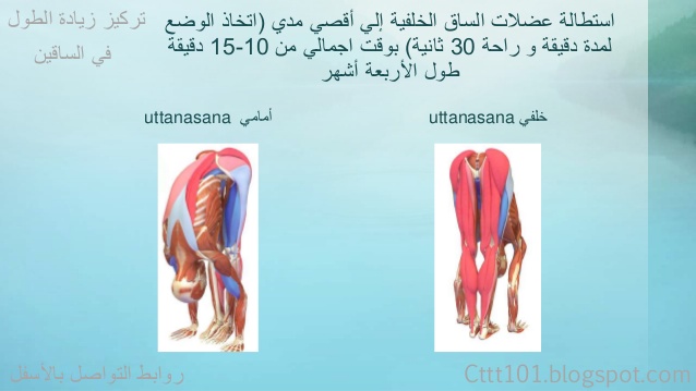 وصفات لزيادة الطول في اسبوع 20160618 226