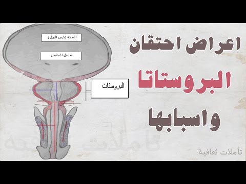 ما هو احتقان البروستاتا - اهمية البروستاتا اثناء الجماع Hqdefault 427