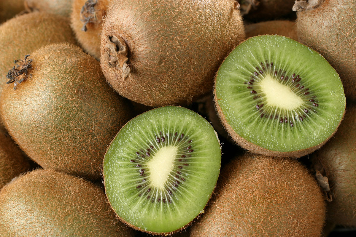 الكيوى دة طلع رهيب - اكبر فوائد الكيوي الطبية Kiwifruit 1200