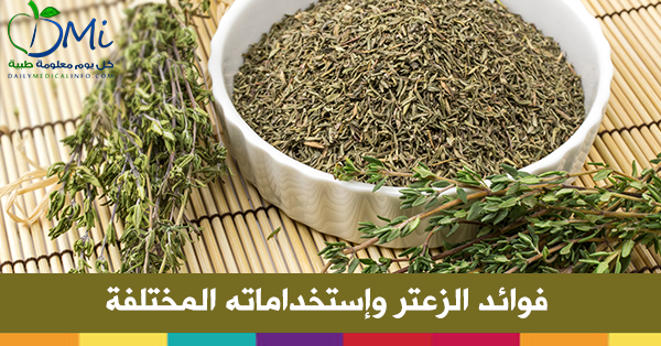 ما هي فوائد الزعتر - اقوى مضاد حيوي طبيعي من الزعتر Thyme20Benefits