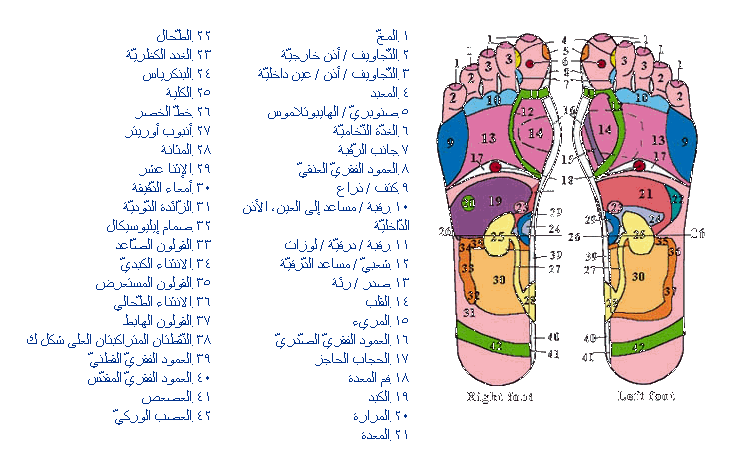 كيفية تدليك ومساج القدمين - مساج اسطوري مريح باسلوب مميز 20160705 43