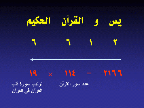 كم عدد السور في القران - معلومات زي اللؤلؤ 20160706 36