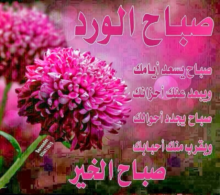 صور جديده لصباح الخير - ابدء يومك بارق كلام ☕🍵 Almastba-Com 1390969197 923