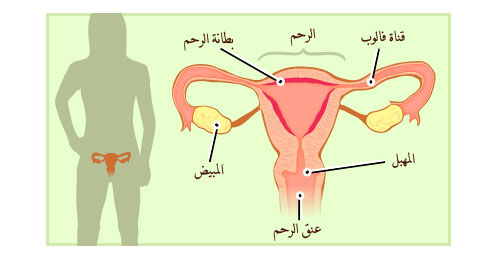 اسباب التهابات الرحم وطرق علاجها , اعرفي السبب وعالجيها صح