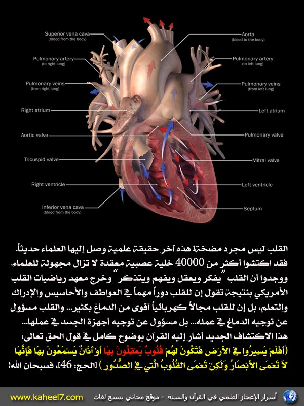 الاسرار العظيمة في القران الكريم - نبذات نادرة جدا عن القران الكريم 20160629 2782