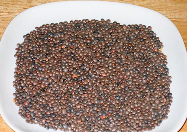 العدس الاسود بعد هذا الكلام لازم يبقا اكلتي المفضله - معلومات هامة عن فوائد العدس الاسود Black Masoor Lentil