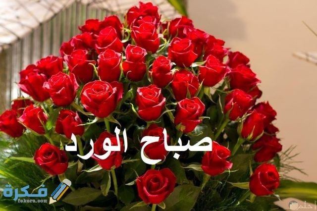 صور صباح الخير صباح الورد ، أجمل عبارات الصباح 289204 7