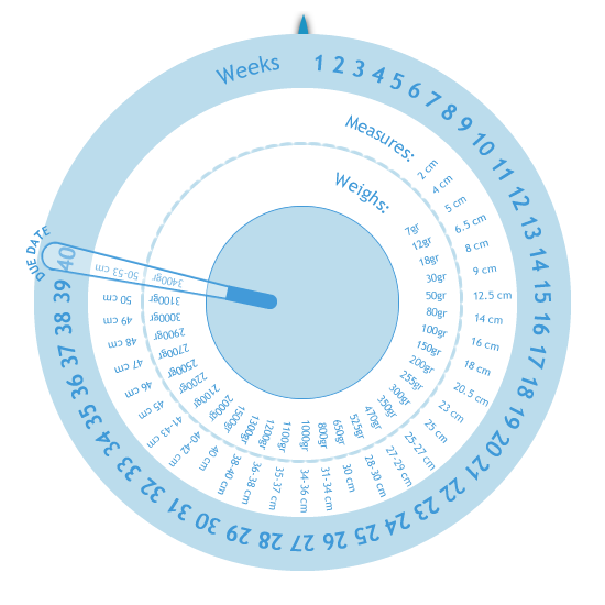 حساب الحمل وموعد الولادة Inner Circle Ar