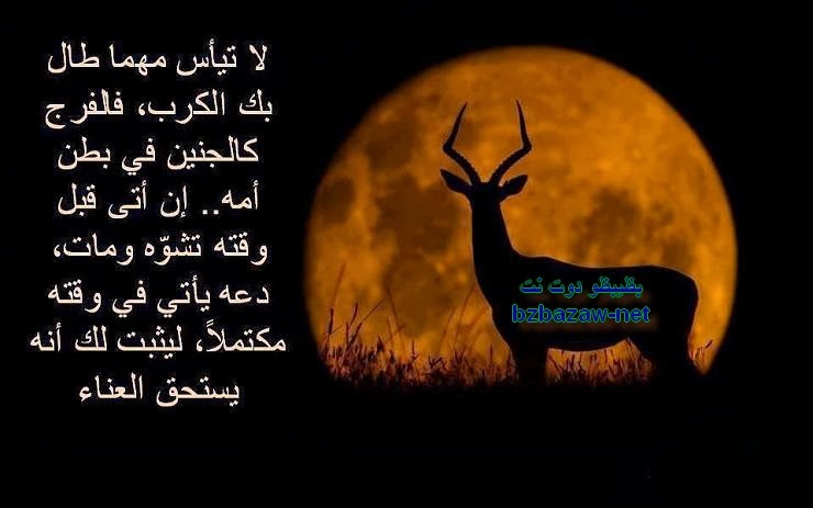 صور مكتوب عليها كلام للحبيب 20160718 1663