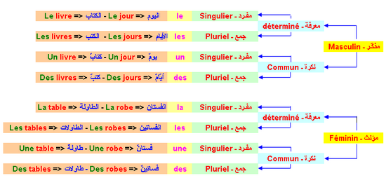 قواعد النطق في اللغة الفرنسية - التعليم اسهل مع هذا الشرح Nom Fr