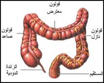 القولون العصبي يعمل كدة , تشنج القولون اعراض واسباب القولون العصبي