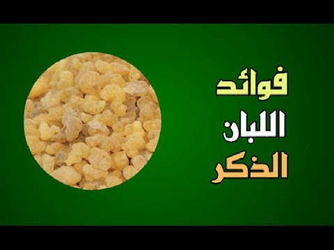 اهم فوائد اللبان الدكر 20160624 691