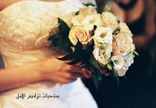 صور وخلفيات للزواج جديدة Pic 878 1349269838