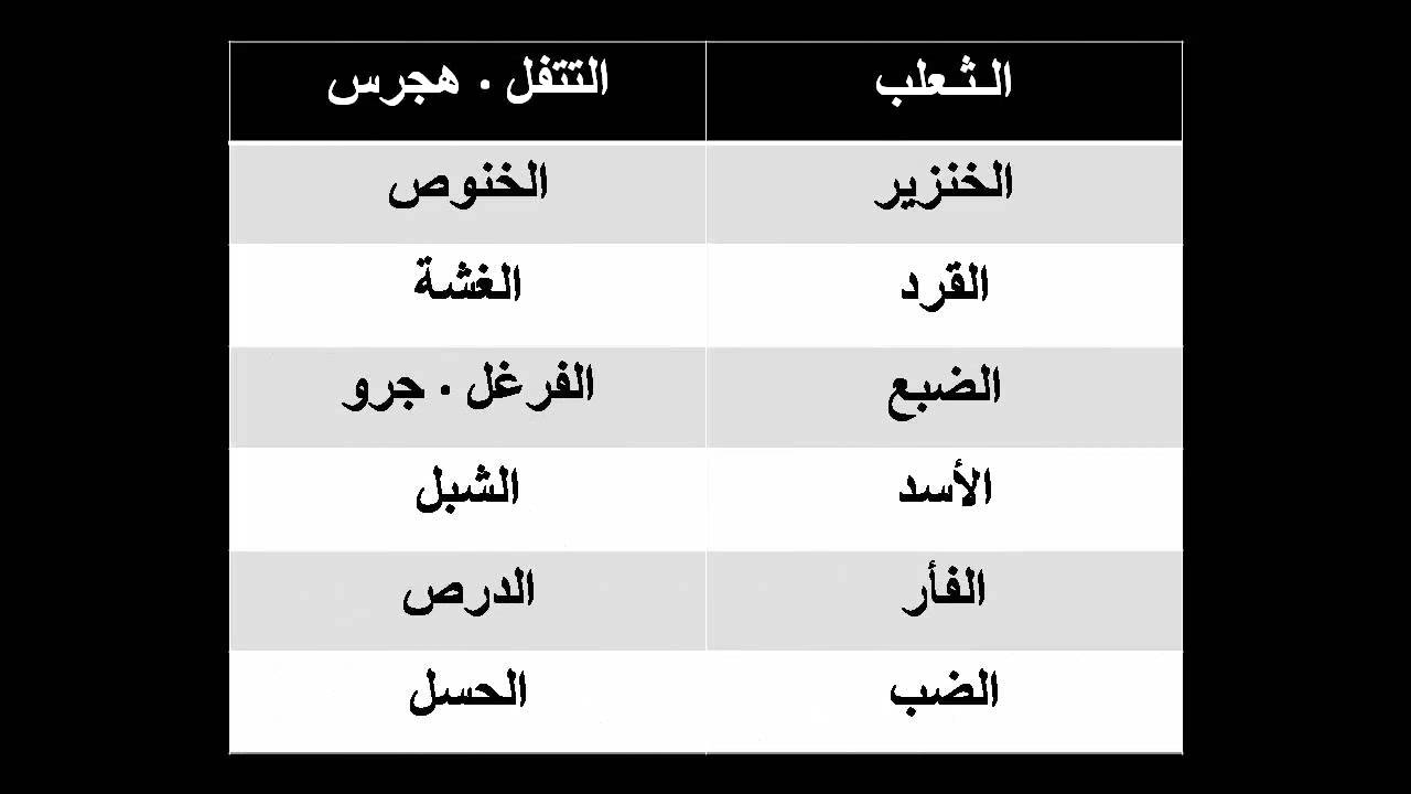 اسماء ابناء الحيوانات جميل ان نعلم ونتعلم 20160720 510