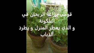 طرق مبتكرة للتخلص من مشكلة الذباب للابد - وداعا الذباب ومشاكله وقرفه نهائيا 20160707 743