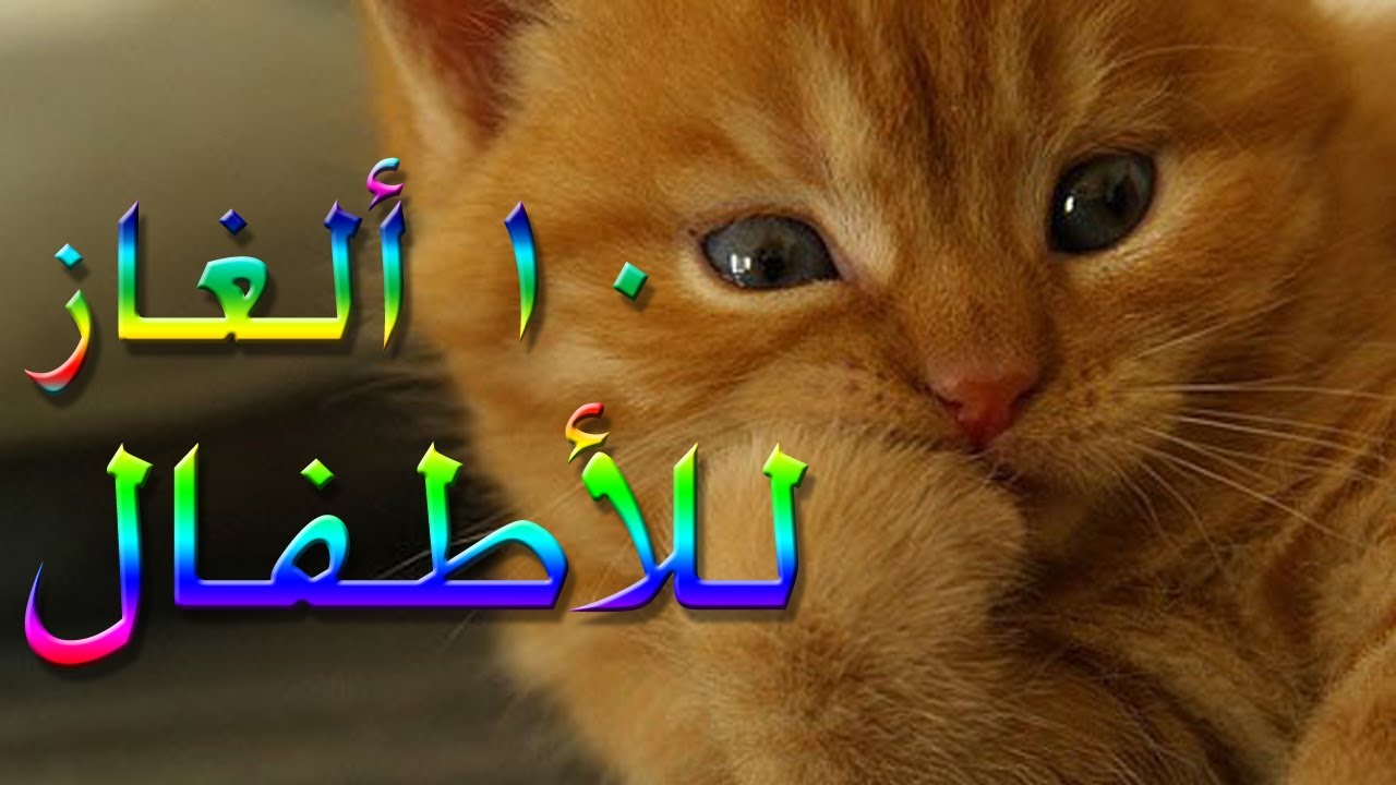 سؤال وجواب للاطفال سهلة