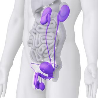 علاج رغبة في التبول , التهابات تسبب امراض خطيرة