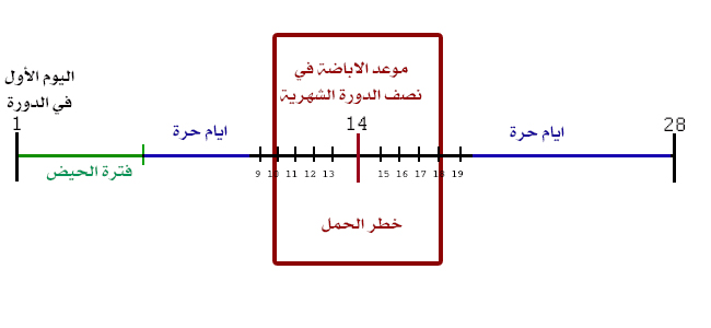 منع الحمل بالعد والحساب 20160719 1617