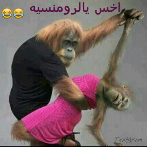 احلي صور كوميديه مضحكة - هتفرهد من الضحك 😂😂 20160713 490