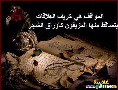 كلمات جارحه في الصميم