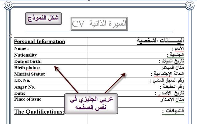 نماذج للسيرة الذاتية Cv 20160713 3443